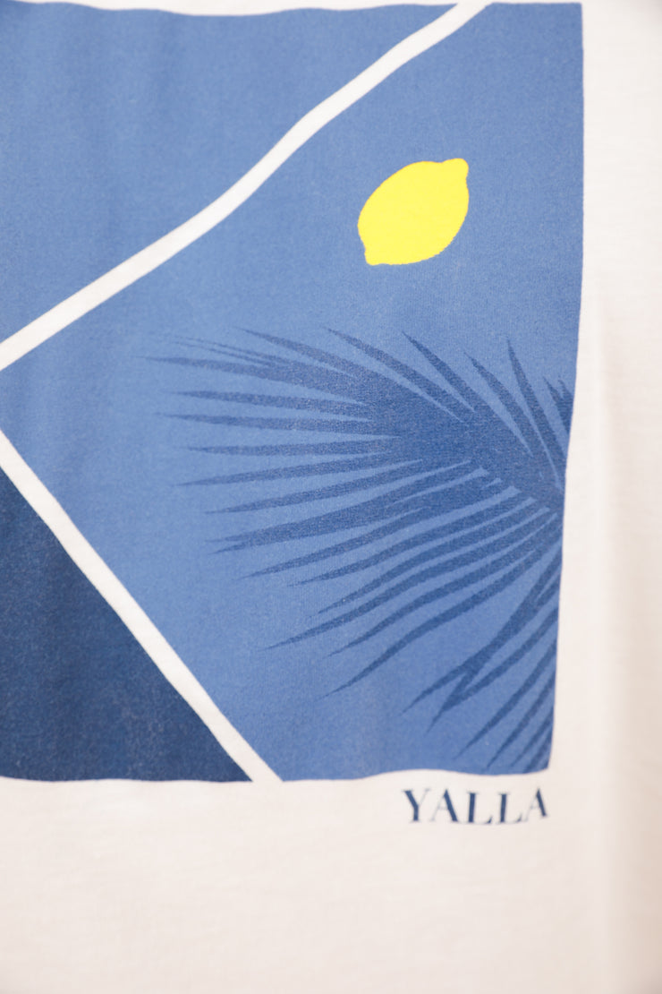 Détail sur l'illustration LYOUM court de tennis bleu, avec ombre de palmier  et balle citron.