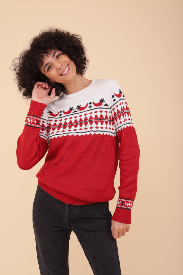 Red LYOUM Christmas sweater for women, the mythical winter sweater