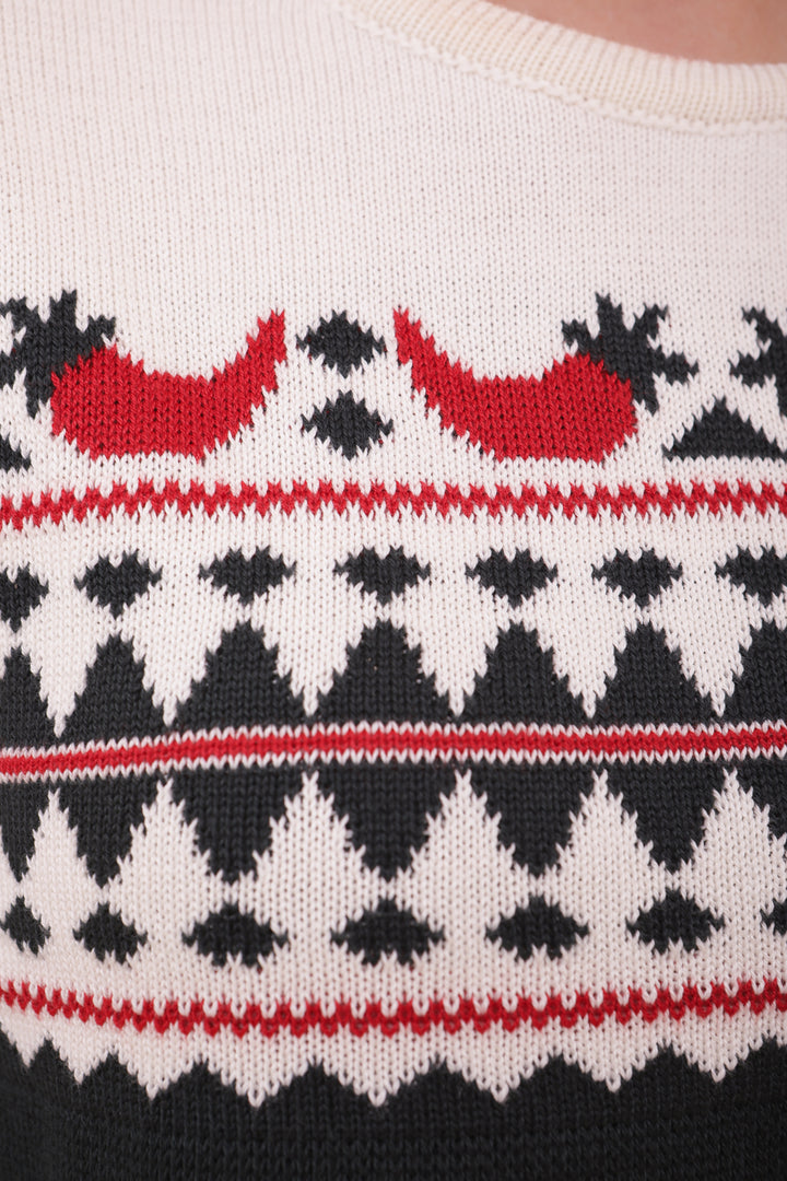 Motif piments rouges du pull de Noël LYOUM vert.