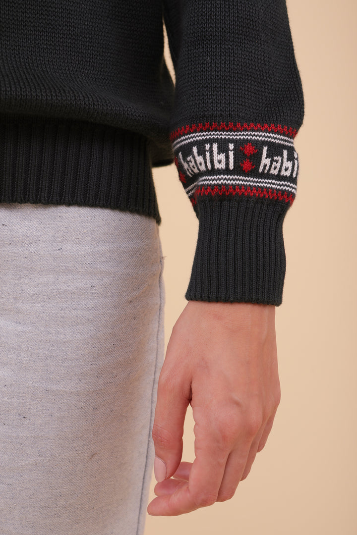 Manches du pull de Noël LYOUM vert et motif Habibi.