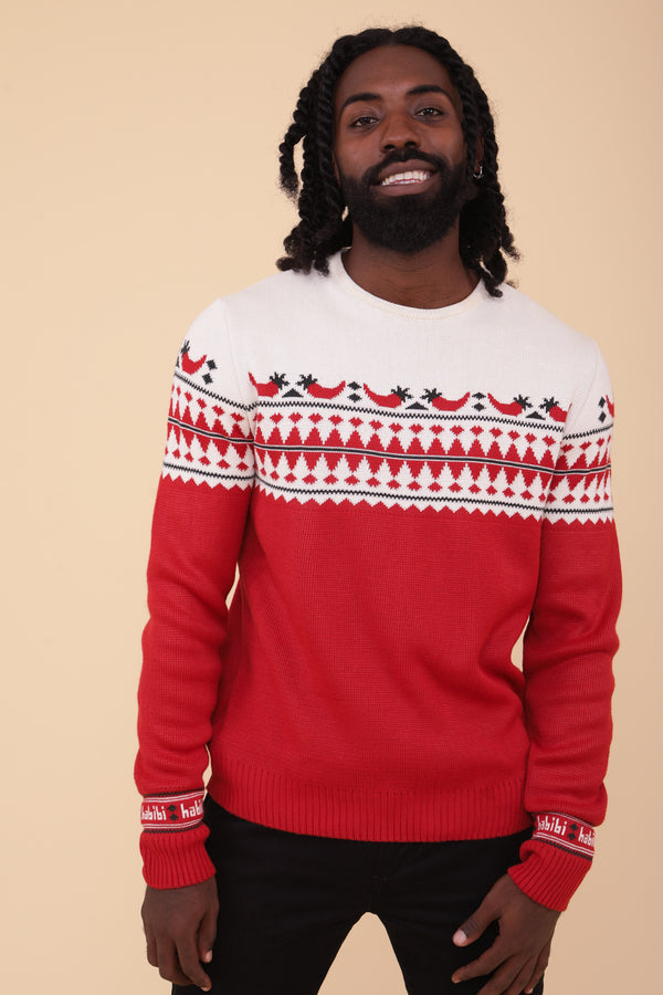 Découvrez le nouveau pull de Noel by LYOUM. Coupe droite proche du corps,  à porter tous les jours.